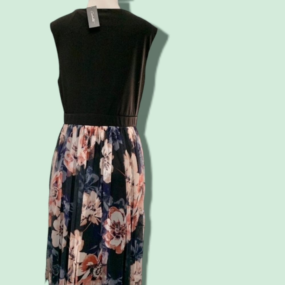 Black, organza dress